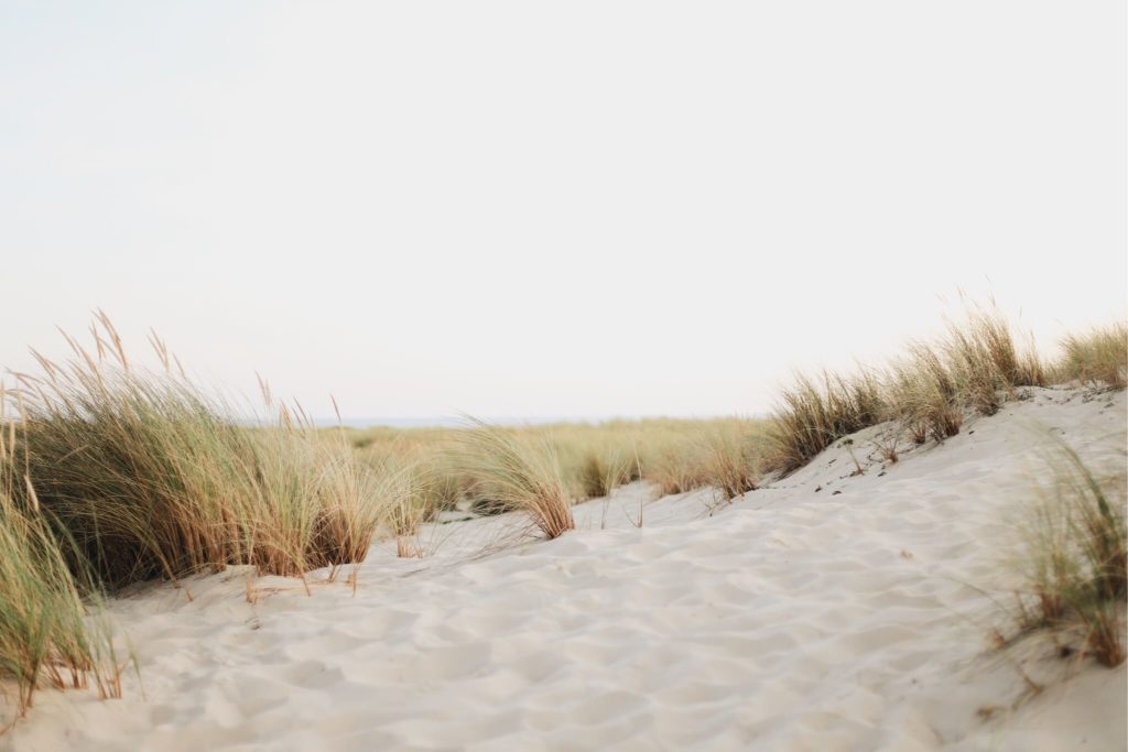 Photo coucher de soleil dunes de sable